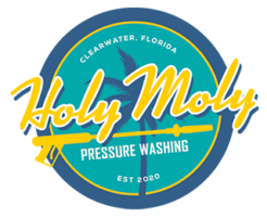 Holy Moly Pressure Washing